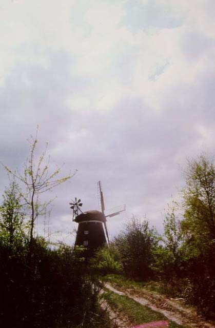 Windmühle bei Benz / Usedom